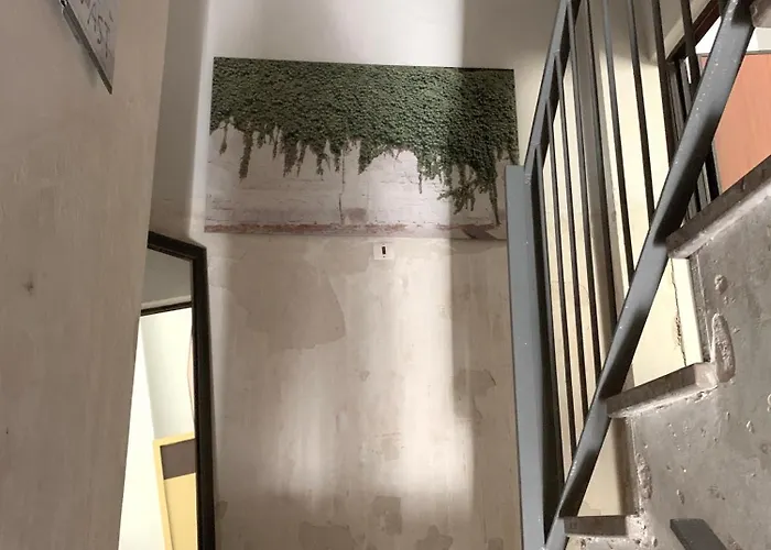 Bellissimo Open Space Stramo * 巴里